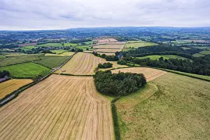 Northern Europe Farming Impressions: Fields and Meadows over Torbay