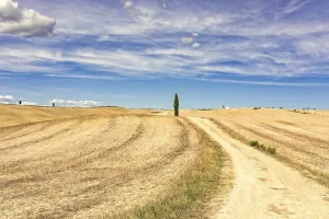 Tuscany Landscape Photography Impressions: Fields in Tuscany