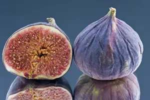 Exotic Fruit Photography Impressions: Figs