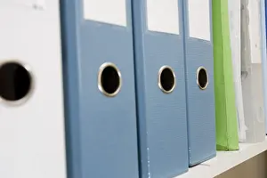 Workplace Organisation Impressions: Files