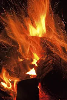 Deserted Bonfire Scene Impressions: Fire