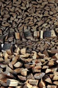Green Energy Technology Impressions: Firewood, logs, split
