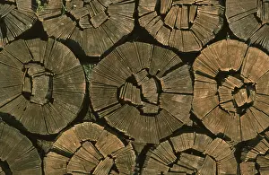 Green Energy Technology Impressions: Firewood, split logs
