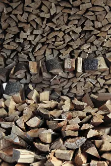 Uninhabited Landscape Impressions: Firewood, split logs