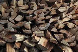Split Firewood Impressions: Firewood, split logs