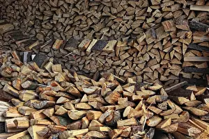 Biomass Energy Technology Impressions: Firewood, split logs