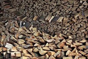 Wood Pattern Structure Impressions: Firewood, split logs