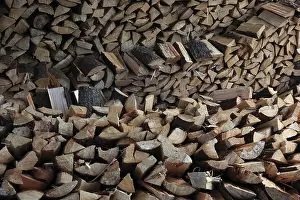 Deserted Wooden Structure Impressions: Firewood, split logs