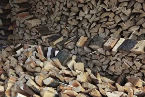 Wood Structure Pattern Impressions: Firewood, split logs