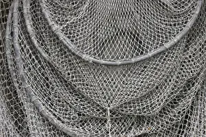 Fishing Net Detail Impressions: Fish trap