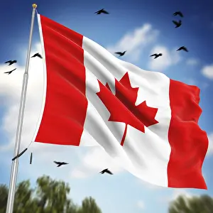 Computer Generated Image Impressions: Flag of Canada, This is a computer generated and 3d rendered image