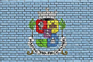Southeast Europe Flags Impressions: Flag of Sofia painted on brick wall