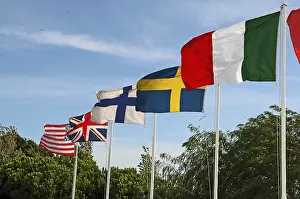 Colorful Flags Impressions: Flaggs