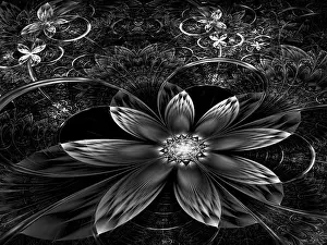 Art Numérique Impressions: Fleur fractale - image informatique abstraite générée par ordinateur.