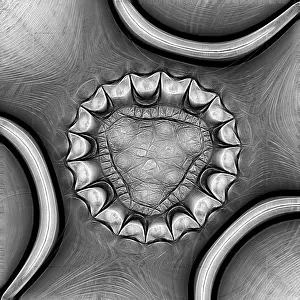 Black Background Image Impressions: Fractal object