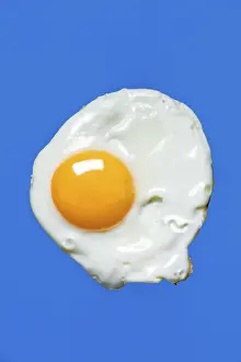 Fried Egg Nutrition Impressions: Fried egg