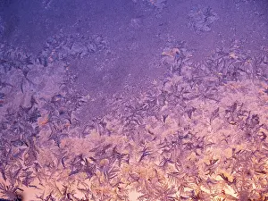 Czech Republic Winter Scenes Impressions: Frost patterns