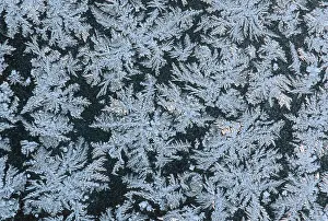 Ice Crystal Formations Impressions: Frostwork on window