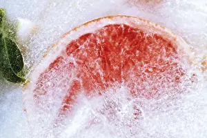Colorful Citrus Fruits Impressions: Frozen Ruby Grapefruit