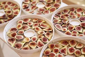 Exotic Fruit Nutrition Impressions: Fruit drying process on plates. Close up