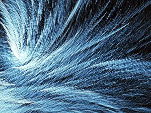 Fractal Texture Impressions: Fur or feather texture - abstract computer-generated image
