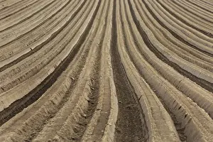 Field Work Photography Impressions: Furrows