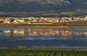 Saragosse Impressions: Gallocanta, lac de Gallocanta