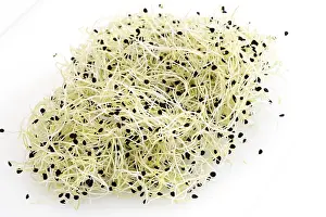 Garlic Sprouts Impressions: Garlic sprouts