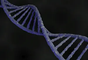 ADN Impressions: Code génétique structure du molécule d'ADN. Rendu 3D.