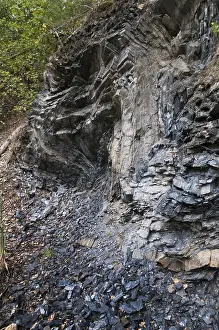 Thuringia Graptolites Impressions: Germany, graptolites, Thuringia