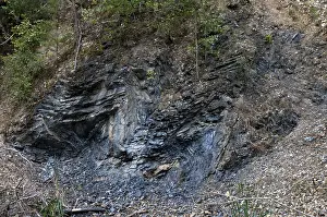 Germany Environmental Reserve Impressions: Germany, graptolites, Thuringia