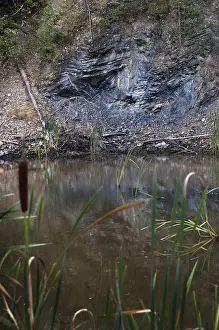 Germany Environmental Reserve Impressions: Germany, graptolites, Thuringia