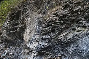 German Nature Park Impressions: Germany, graptolites, Thuringia