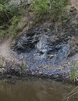 Thuringia Graptolites Impressions: Germany, graptolites, Thuringia