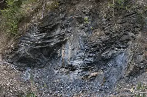 German Tourist Attraction Impressions: Germany, graptolites, Thuringia