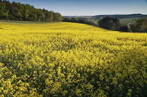 German Landscape Photography Impressions: Germany, Greiz, Thuringia, Thuringia