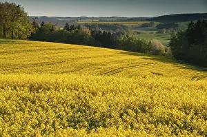 Central European Landscape Impressions: Germany, Greiz, Thuringia, Thuringia