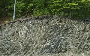 Old Man With Beard Photo Impressions: Germany, Thuringia, Thuringia, geotope