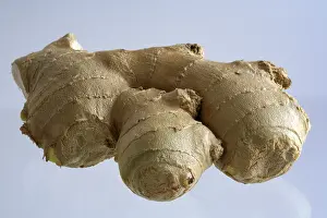 Fresh Ginger Root Impressions: Ginger