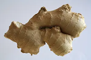 Medicinal Spice Plant Impressions: Ginger