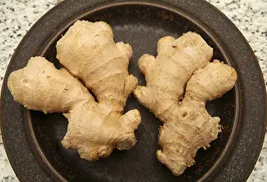 Ginger Spice Impressions: Ginger