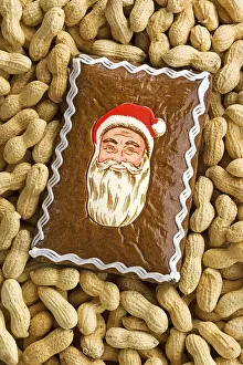 Peanut Treats Impressions: Gingerbread and peanuts