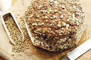Nutrition Food Impressions: Whole grain bread