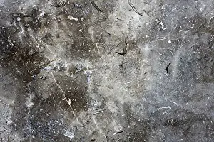 Gray Marble Texture Impressions: Gray marble texture