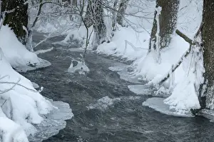 Thuringia Winter Landscape Impressions: Greiz, Thuringia, Triebitzbach