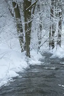 Winter Landscape Germany Impressions: Greiz, Thuringia, Triebitzbach