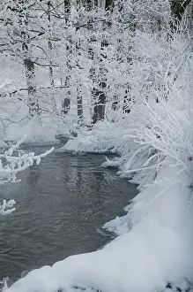 Snowy Winter Landscape Impressions: Greiz, Thuringia, Triebitzbach
