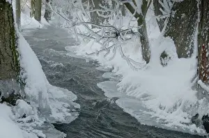 European Wintry Landscape Impressions: Greiz, Thuringia, Triebitzbach