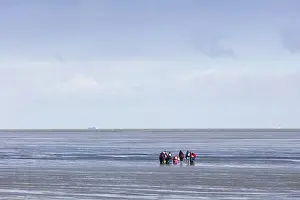 Cuxhaven Germany Impressions: Group of mudflat strollers in mudflat