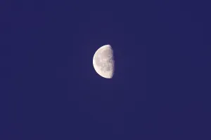Nocturnal Night View Photo Impressions: Half moon